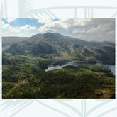 The Boat Comes In - Photographic Print - Amy Davidson